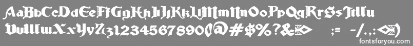 フォントLudlowStrongAle – 灰色の背景に白い文字