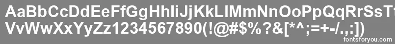 フォントArialCyrРџРѕР»СѓР¶РёСЂРЅС‹Р№ – 灰色の背景に白い文字