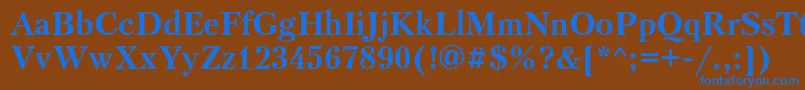 PetersburgettBold Font – Blue Fonts on Brown Background