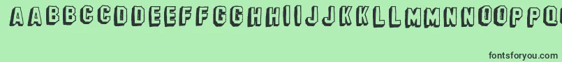 BanhartVer08Erc2008 Font – Black Fonts on Green Background