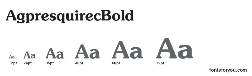 Размеры шрифта AgpresquirecBold
