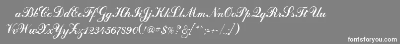 フォントOdessascriptRegular – 灰色の背景に白い文字