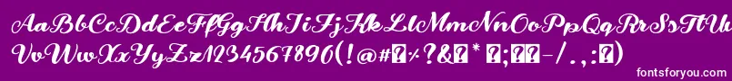 SnowmandudesRegular Font – White Fonts on Purple Background