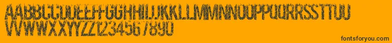 Grassevent-Schriftart – Schwarze Schriften auf orangefarbenem Hintergrund