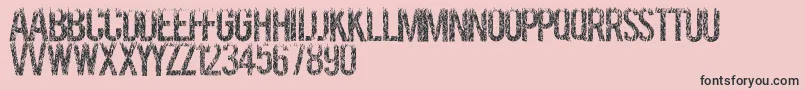 Grassevent-Schriftart – Schwarze Schriften auf rosa Hintergrund