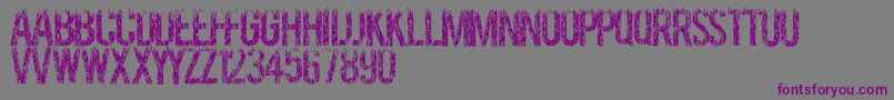 Шрифт Grassevent – фиолетовые шрифты на сером фоне