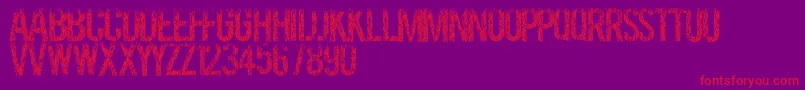 Grassevent Font – Red Fonts on Purple Background