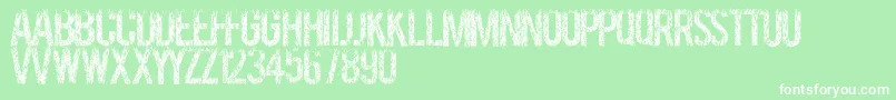 Grassevent Font – White Fonts on Green Background