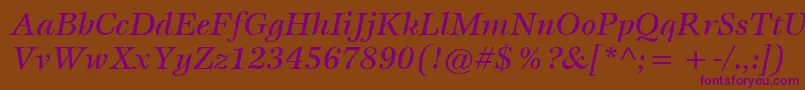 ItcEspritLtMediumItalic Font – Purple Fonts on Brown Background