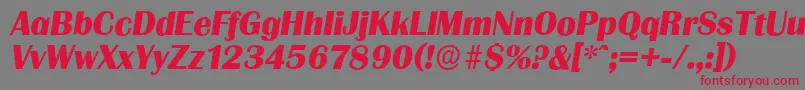 フォントGrenobleserialXboldItalic – 赤い文字の灰色の背景