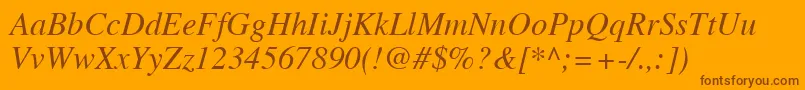 TimesLtItalic Font – Brown Fonts on Orange Background