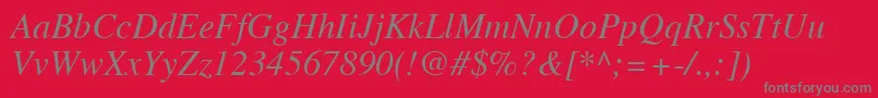 TimesLtItalic-Schriftart – Graue Schriften auf rotem Hintergrund