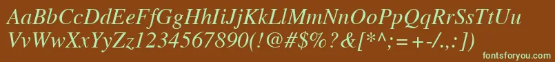 TimesLtItalic Font – Green Fonts on Brown Background