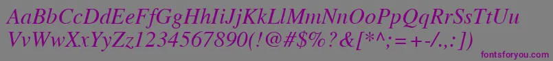 TimesLtItalic Font – Purple Fonts on Gray Background