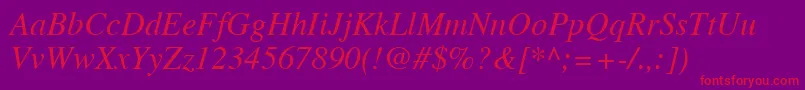 TimesLtItalic Font – Red Fonts on Purple Background