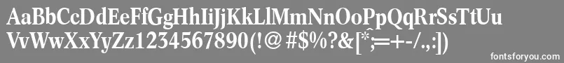 C791RomanBold Font – White Fonts on Gray Background