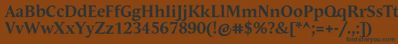 フォントAndulkaTextProBold – 黒い文字が茶色の背景にあります