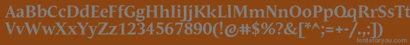 AndulkaTextProBold-Schriftart – Graue Schriften auf braunem Hintergrund