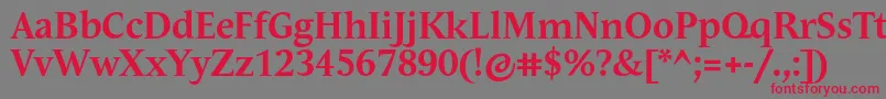 AndulkaTextProBold Font – Red Fonts on Gray Background