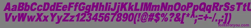 OmniblackItalicDemo Font – Purple Fonts on Gray Background