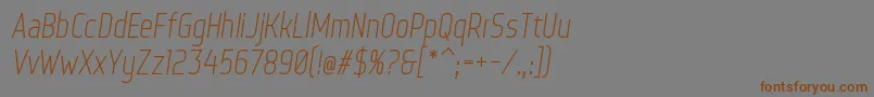 フォントWebServeroffItalic – 茶色の文字が灰色の背景にあります。