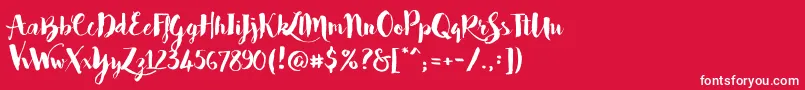 Bakery Font – White Fonts on Red Background