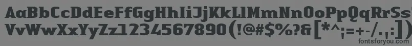 LinotypeAuthenticSmallSerifBlack Font – Black Fonts on Gray Background