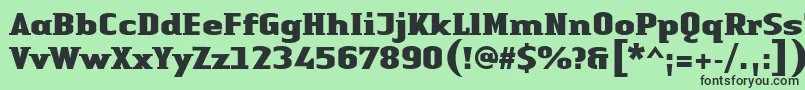 LinotypeAuthenticSmallSerifBlack Font – Black Fonts on Green Background