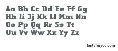 LinotypeAuthenticSmallSerifBlack-fontti