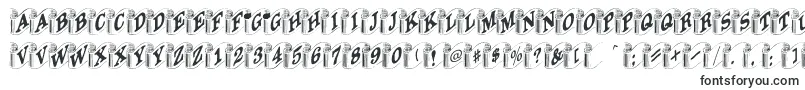 Шрифт Heraldic – шрифты для Corel Draw