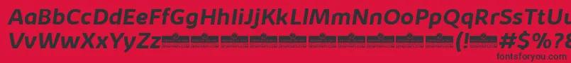 KabrioBoldItalicTrial Font – Black Fonts on Red Background