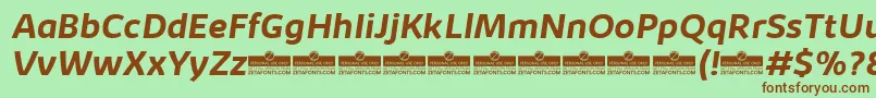 KabrioBoldItalicTrial Font – Brown Fonts on Green Background