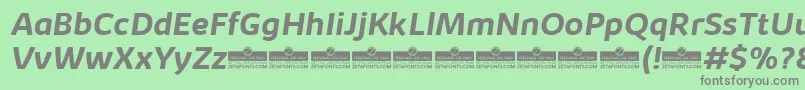 KabrioBoldItalicTrial Font – Gray Fonts on Green Background