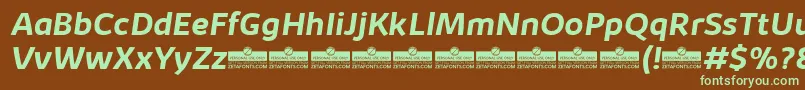 KabrioBoldItalicTrial Font – Green Fonts on Brown Background