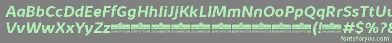 KabrioBoldItalicTrial Font – Green Fonts on Gray Background