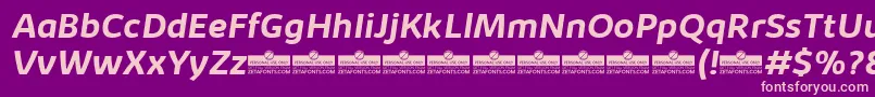 KabrioBoldItalicTrial Font – Pink Fonts on Purple Background