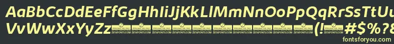 KabrioBoldItalicTrial Font – Yellow Fonts on Black Background