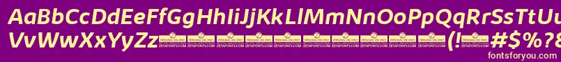 KabrioBoldItalicTrial Font – Yellow Fonts on Purple Background