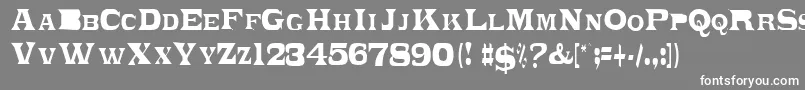 フォントPonchoviaRegular – 灰色の背景に白い文字