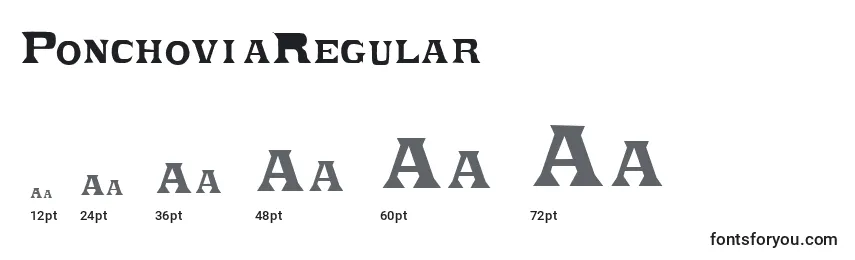 Размеры шрифта PonchoviaRegular