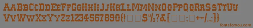 WesterlandcNormal Font – Brown Fonts on Gray Background