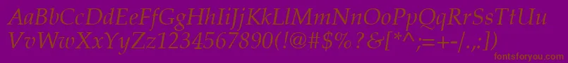 Latinopal4Italicsh Font – Brown Fonts on Purple Background