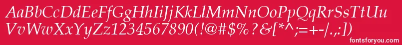 Latinopal4Italicsh Font – White Fonts on Red Background