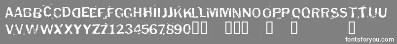 フォントPuddledu – 灰色の背景に白い文字