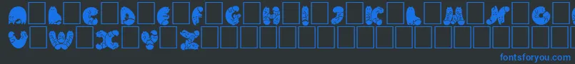 NohofontCatsblack Font – Blue Fonts on Black Background