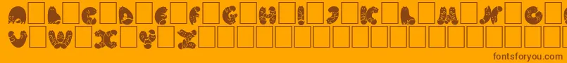 NohofontCatsblack Font – Brown Fonts on Orange Background