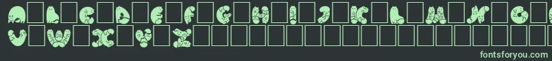 Czcionka NohofontCatsblack – zielone czcionki na czarnym tle
