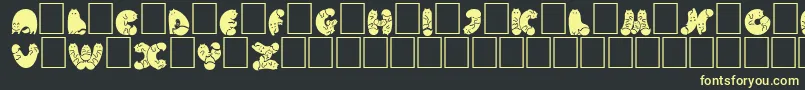 NohofontCatsblack Font – Yellow Fonts on Black Background