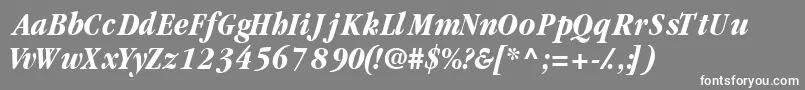 フォントGaramondblackcondsskItalic – 灰色の背景に白い文字