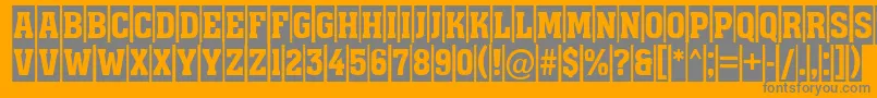 フォントAssuan9 – オレンジの背景に灰色の文字